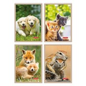 Kołonotatn... -  Polnische Buchandlung 