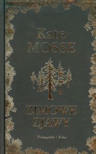 Bild von Zimowe zjawy