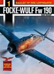 Bild von Eagles of the Luftwaffe: Focke-Wulf Fw 190