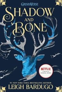 Obrazek Shadow and Bone