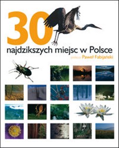 Obrazek 30 najdzikszych miejsc w Polsce