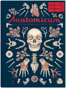 Anatomicum... - Jennifer Paxton -  Polnische Buchandlung 