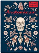 Anatomicum... - Jennifer Paxton -  Polnische Buchandlung 