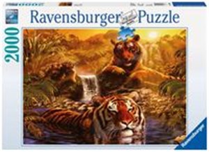 Obrazek Puzzle Kąpiel tygrysów 2000
