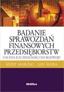 Obrazek Badanie sprawozdań finansowych przedsiębiorstw i ocena ich zdolności do rozwoju