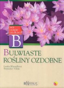 Obrazek Bulwiaste rośliny ozdobne