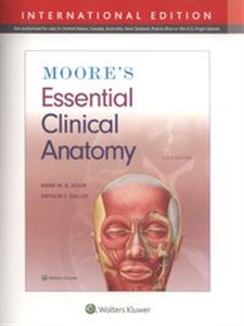 Bild von Moore's Essential Clinical Anatomy Sixth edition, International Edition