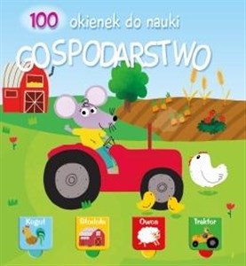 Obrazek 100 okienek 2 - Gospodarstwo