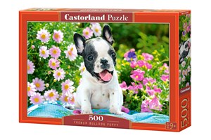 Obrazek Puzzle 500 French Bulldog Puppy