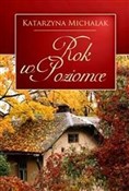 Polska książka : Rok w Pozi... - Katarzyna Michalak