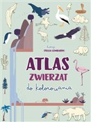 Atlas zwie... - Giulia Lombardo (ilustr.) -  Polnische Buchandlung 