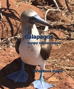 Obrazek Galapagos - wyspy odczarowane