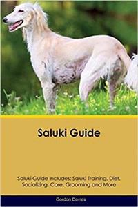 Bild von Saluki Guide Saluki Guide Includes Saluki Training, Diet, Socializing, Care, Grooming, Breeding and More