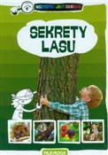 Sekrety la... - Grażyna Maternicka -  polnische Bücher