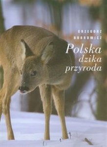 Obrazek Polska dzika przyroda
