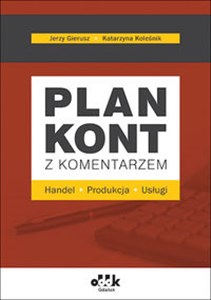 Obrazek Plan kont z komentarzem