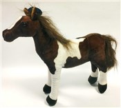 Książka : Koń hucuł ...