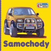 Samochody -  polnische Bücher