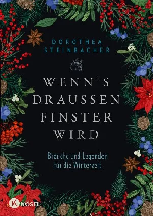 Obrazek STEINBACHER, D: WENN'S DRAUßEN FINSTER WIRD