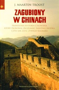 Obrazek Zagubiony w Chinach