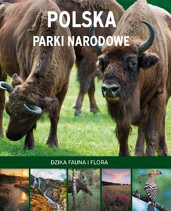 Bild von Polska Parki narodowe