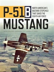 Bild von P-51B Mustang North American's Bastard Stepchild that Saved the Eighth Air Force