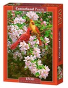 1500x PUZZ... - buch auf polnisch 