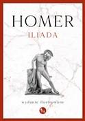 Polnische buch : Iliada Wyd... - Homer