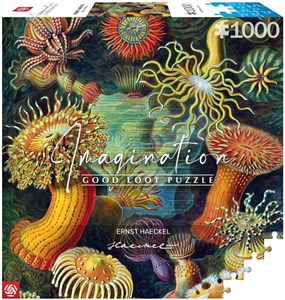 Bild von Puzzle 1000 Ernst Haeckel: Stworzenia morskie