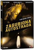 Zagubiona ... - buch auf polnisch 