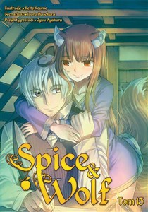 Bild von Spice and Wolf. Tom 13