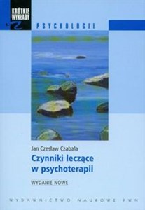 Obrazek Czynniki leczące w psychoterapii