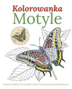 Obrazek Motyle Kolorowanka