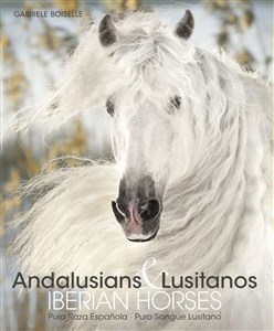 Obrazek Andalusians Lusitanos
