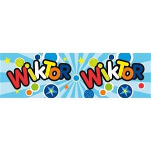 Obrazek Bidon 300ml Wiktor