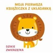 Polska książka : Moja pierw... - Opracowanie Zbiorowe