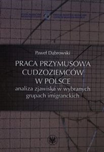 Bild von Praca przymusowa cudzoziemców w Polsce analiza zjawiska w wybranych grupach imigranckich