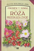 Róża przed... - Zbigniew T. Nowak -  fremdsprachige bücher polnisch 