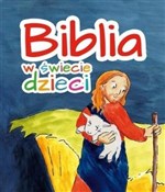 Biblia w ś... - Opracowanie Zbiorowe -  polnische Bücher