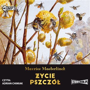 Obrazek [Audiobook] CD MP3 Życie pszczół