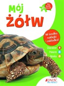 Zobacz : Mój żółw - Bruno Tenerezza