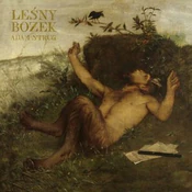 Leśny Boże... - buch auf polnisch 