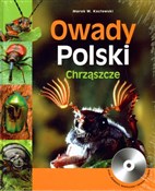 Zobacz : Owady Pols... - Marek W. Kozłowski