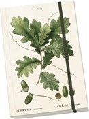 Zobacz : Notatnik o...