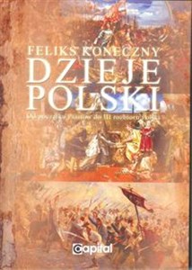 Bild von Dzieje Polski od początku Piastów do III rozbioru Polski