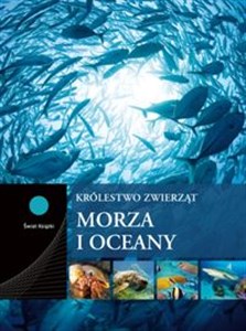 Obrazek Morza i oceany