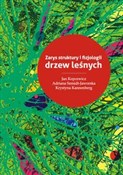 Polnische buch : Zarys stru... - Jan Kopcewicz, Adriana Szmidt-Jaworska, Krystyna Kannenberg