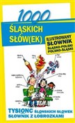 1000 śląsk... - Ewelina Sokół-Galwas -  fremdsprachige bücher polnisch 