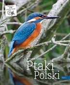 Ptaki Pols... - Andrzej G. Kruszewicz -  Książka z wysyłką do Niemiec 