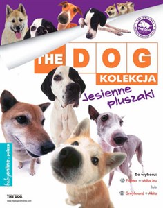 Bild von The DOG The Dog Jesienne pluszaki